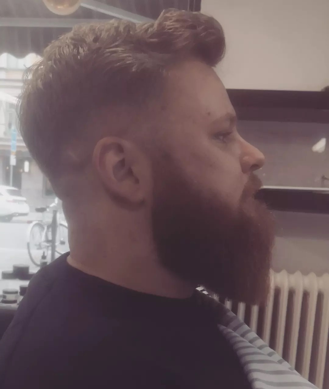 Långt rödblont helskägg format i profil med tonade sidor